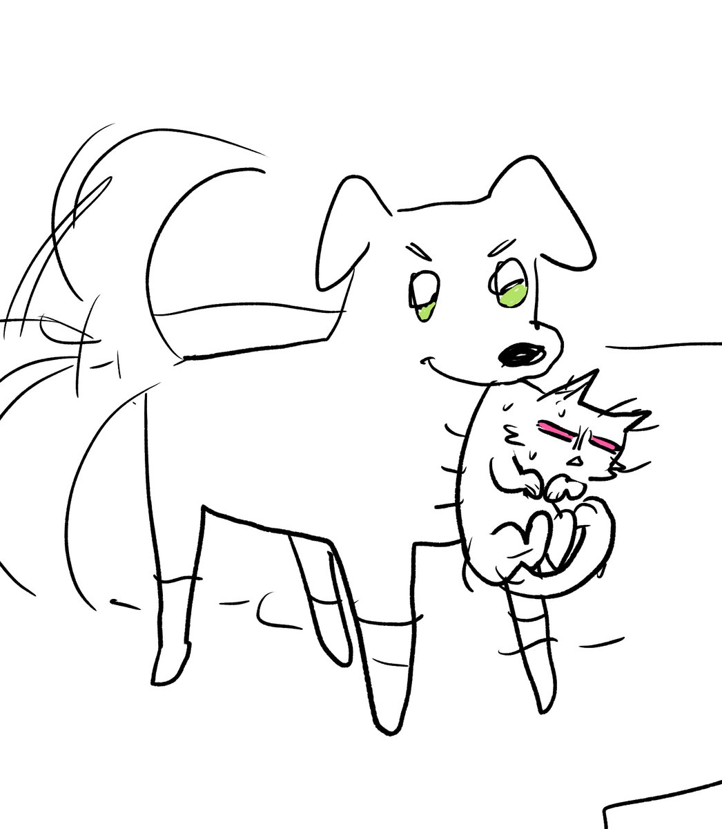 🧸둘기 tweet media