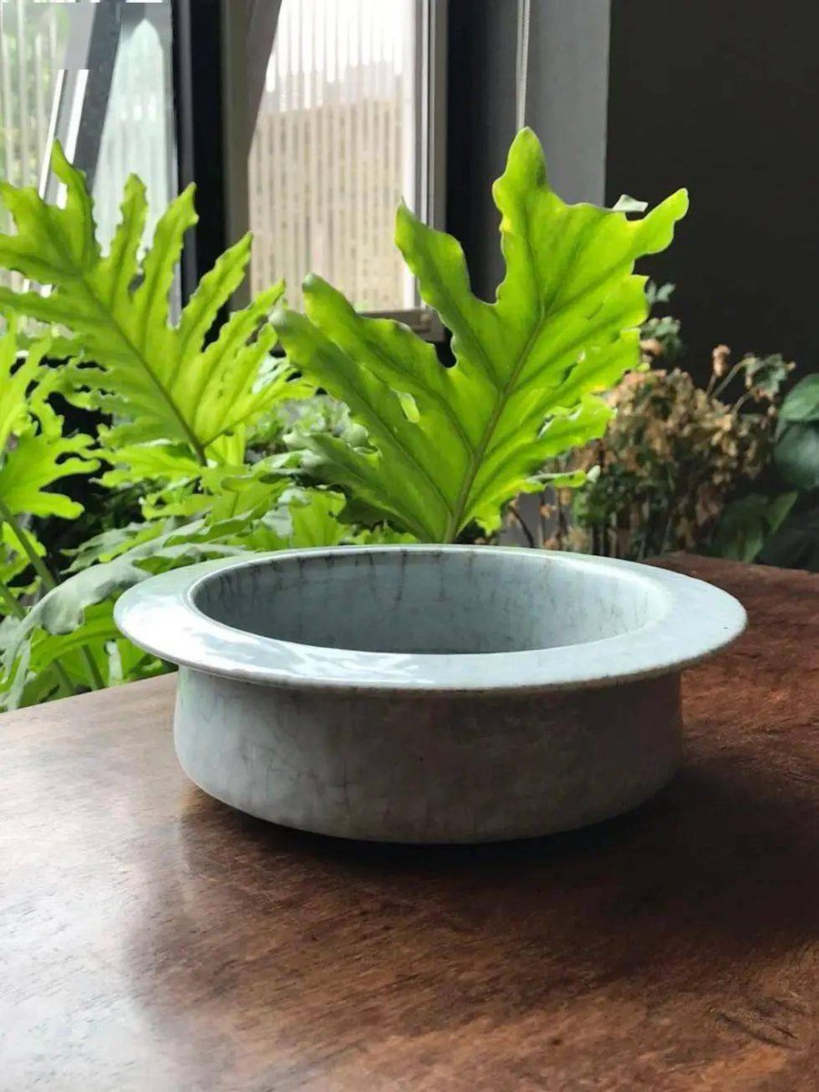 Debra Wiks tweet media