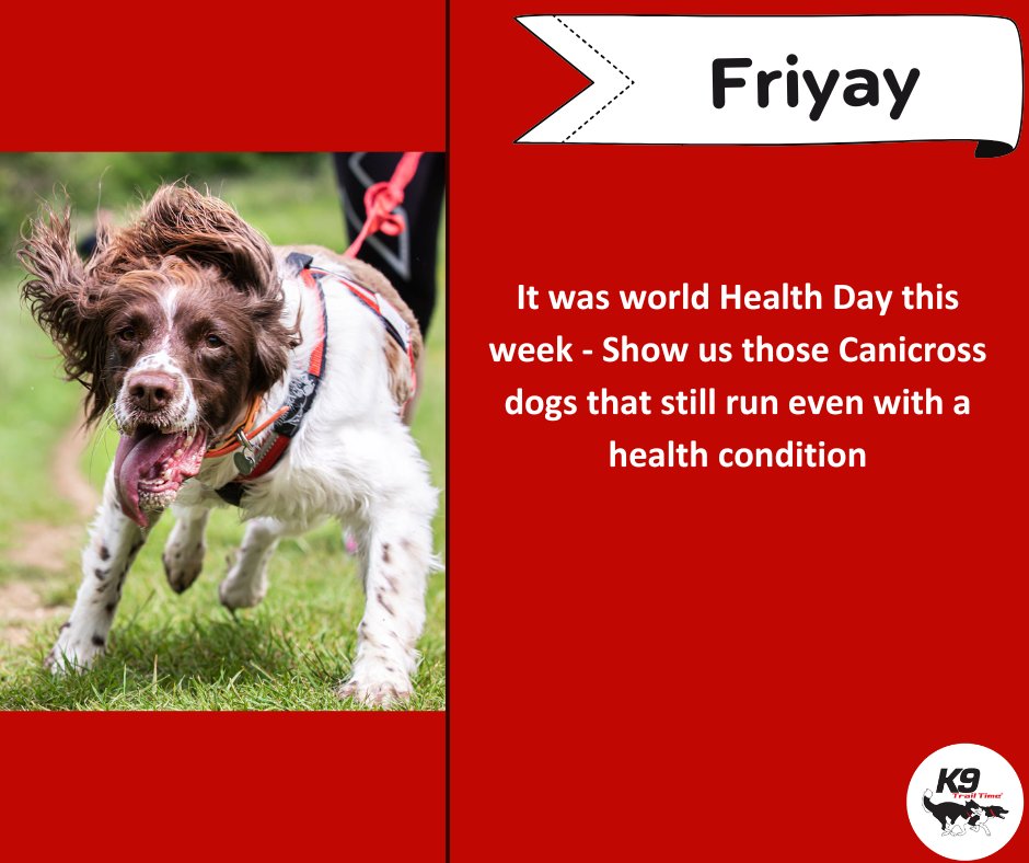 It’s Friyay 🎉

It was world health day this week

Share pictures of you canicross dogs that still run,even with a health condition

#k9trailtime #activedogsarehappydogs #weekenddogs
#canicross #funonfriday #canicrossdogscanicrossdogs