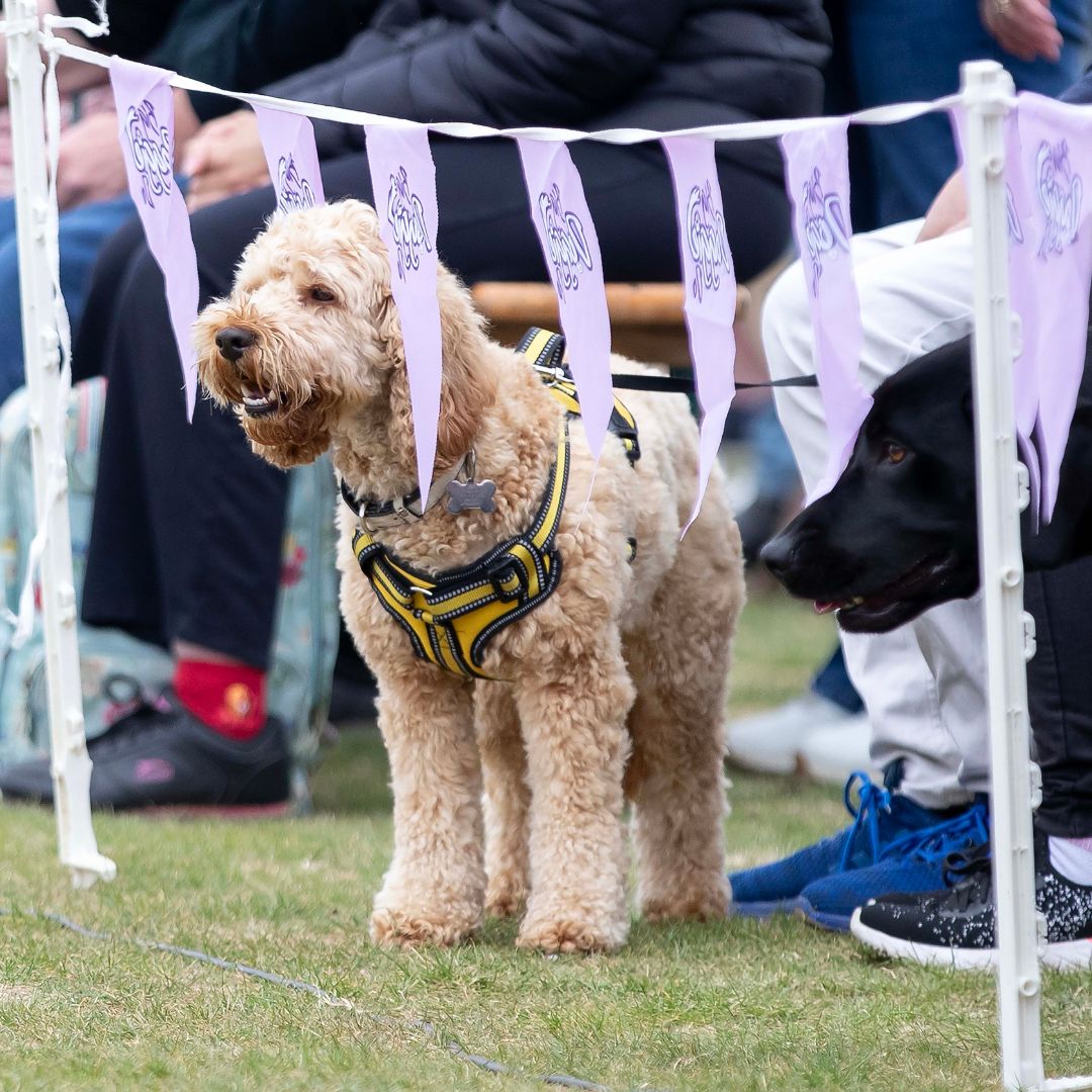 The Parks Trust tweet media