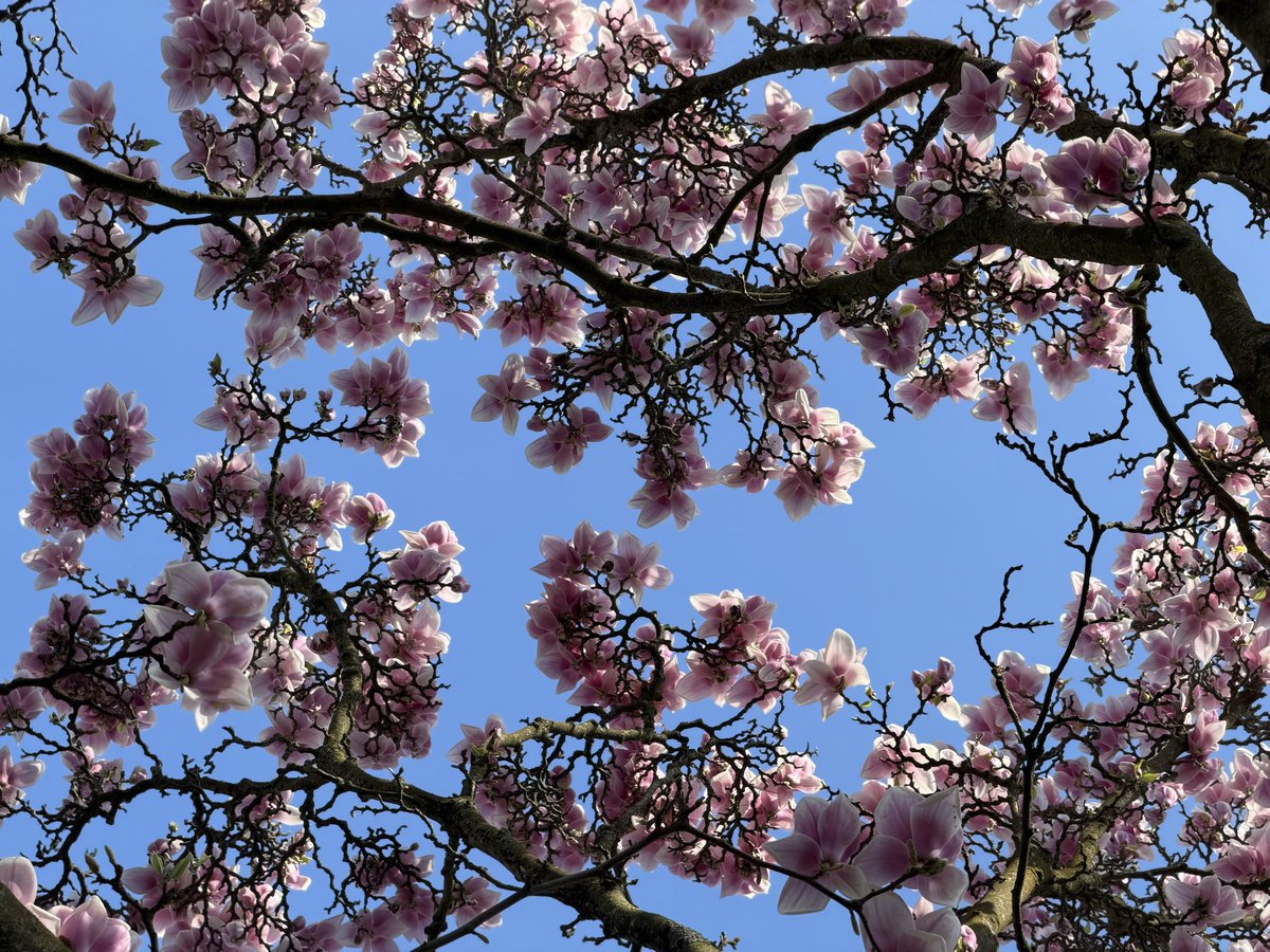 Renate Kleine tweet media