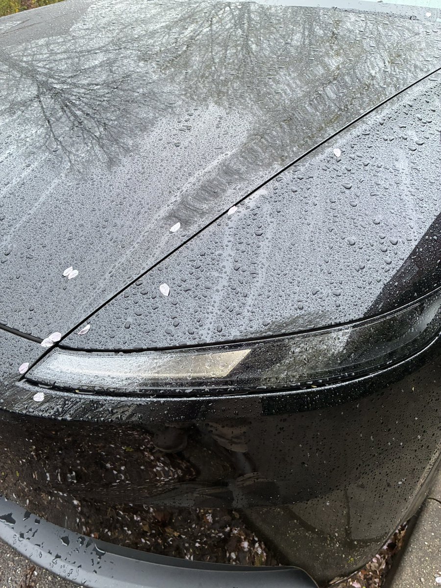 Jede deiner Fahrten könnte die letzte ohne FSD sein