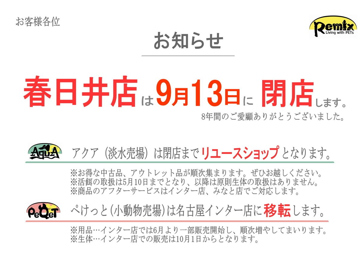 ぺけっと生体@リミックス春日井店 tweet media