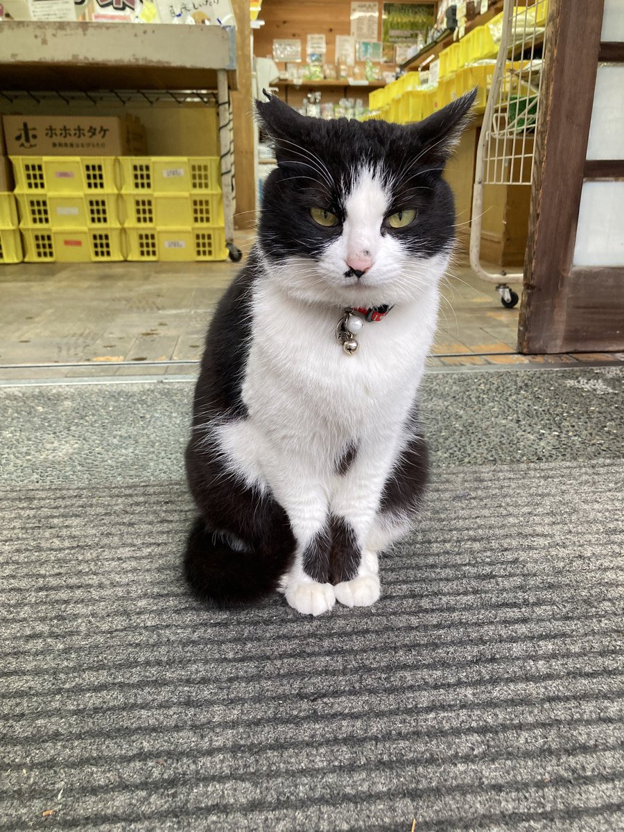 chan😊🐾 tweet media