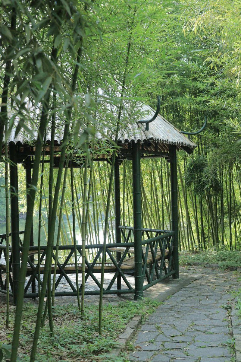 บุญเจอ พร้อมใจ tweet media