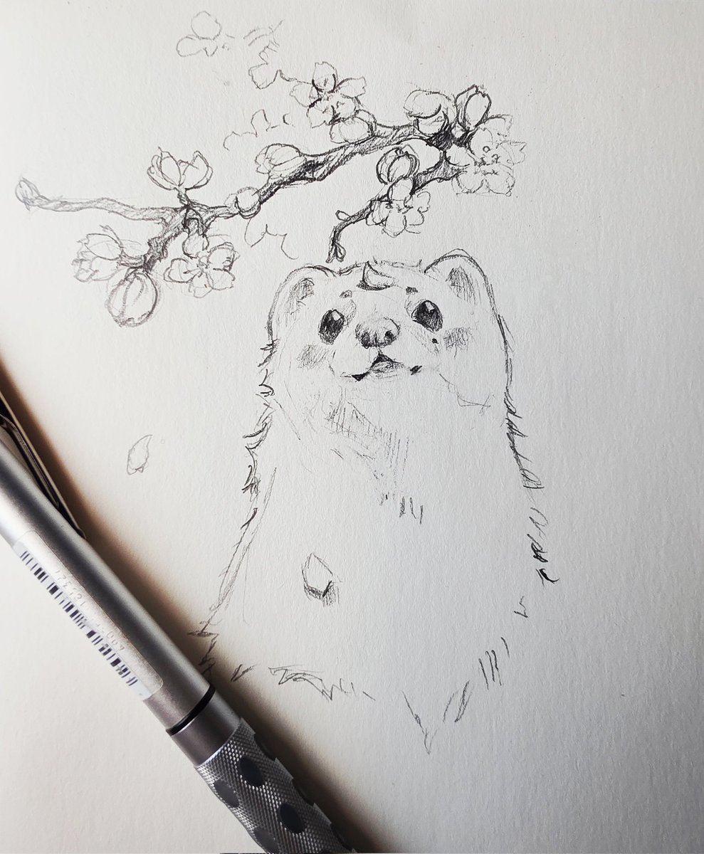 ScarletBlossom tweet media