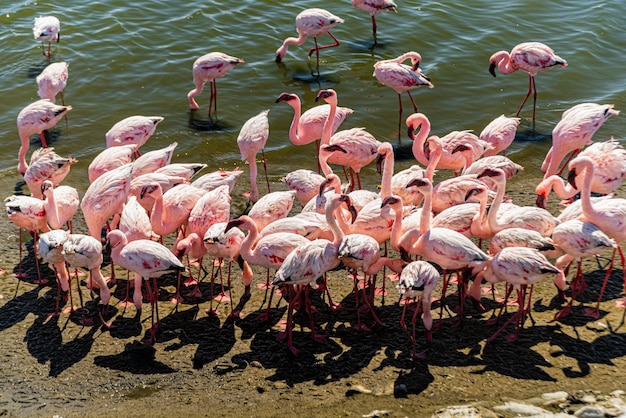 Glam Fika tweet media