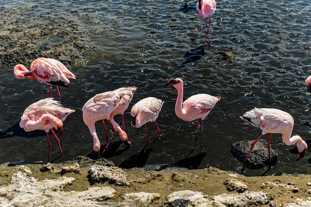 Glam Fika tweet media