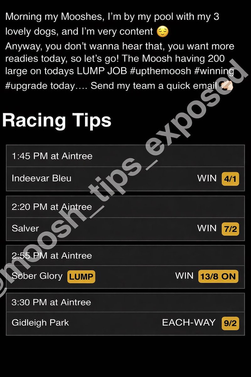 Moosh_tips_exposed tweet media