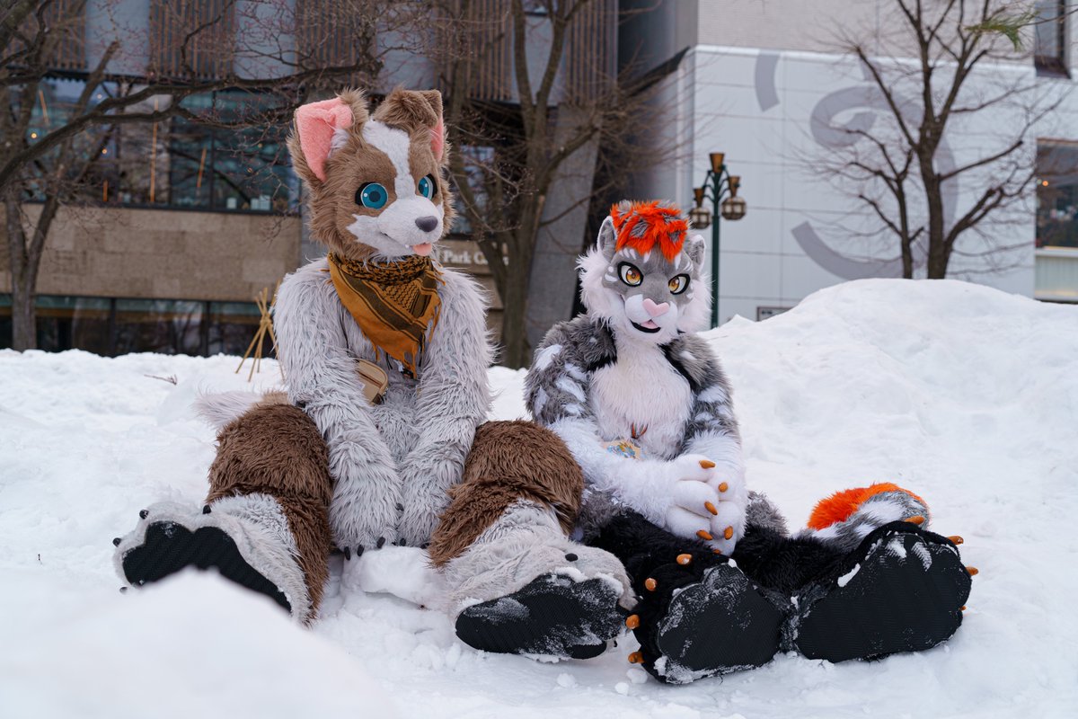CaraguaWoof's tweet photo. It's becoming warmer every day...
I miss the cold weather 😭

🐱 @Doru_ST  📸 @crosswhitekiba 
#FursuitFriday #ちるこん2026 https://t.co/uPTZjQQgqH