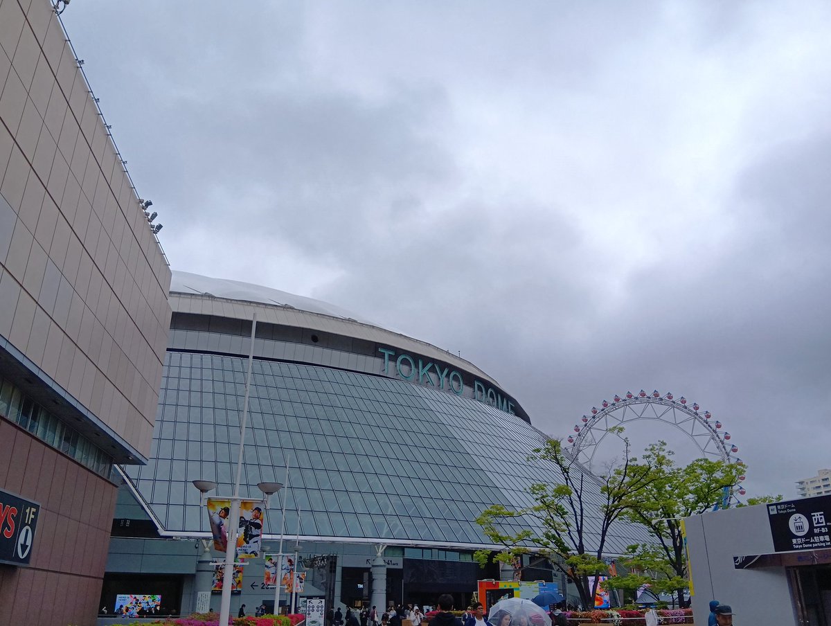 葉っぱ🍀 tweet media