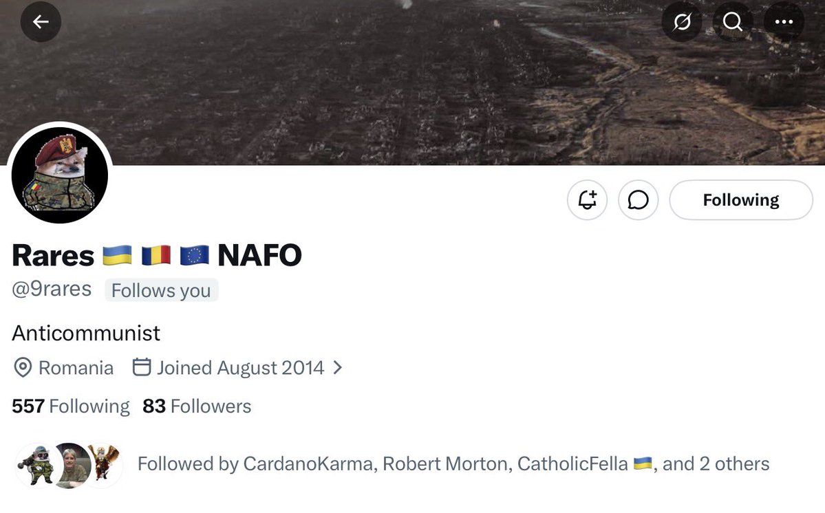 pilotfella tweet media