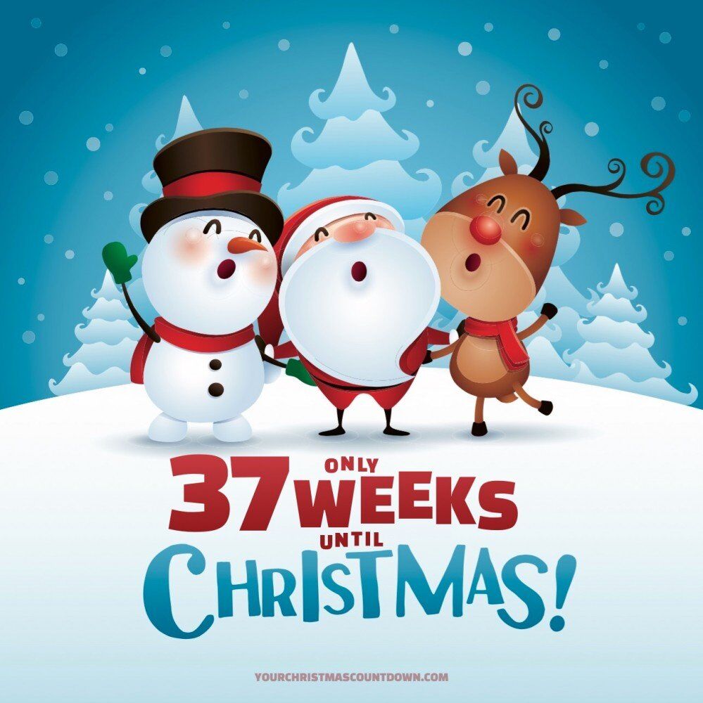 37 WEEKS UNTIL #CHRISTMAS!
 👉 YourChristmasCountdown.com 🎄🎅