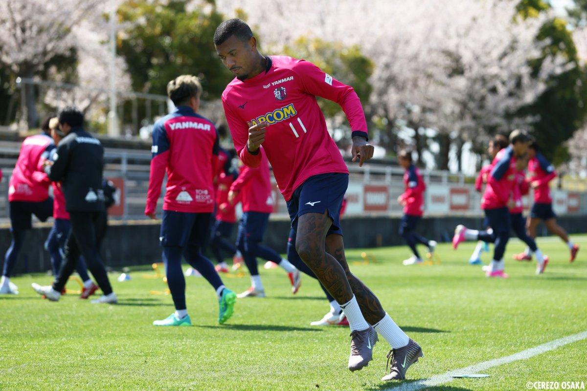 セレッソ大阪オフィシャル tweet media