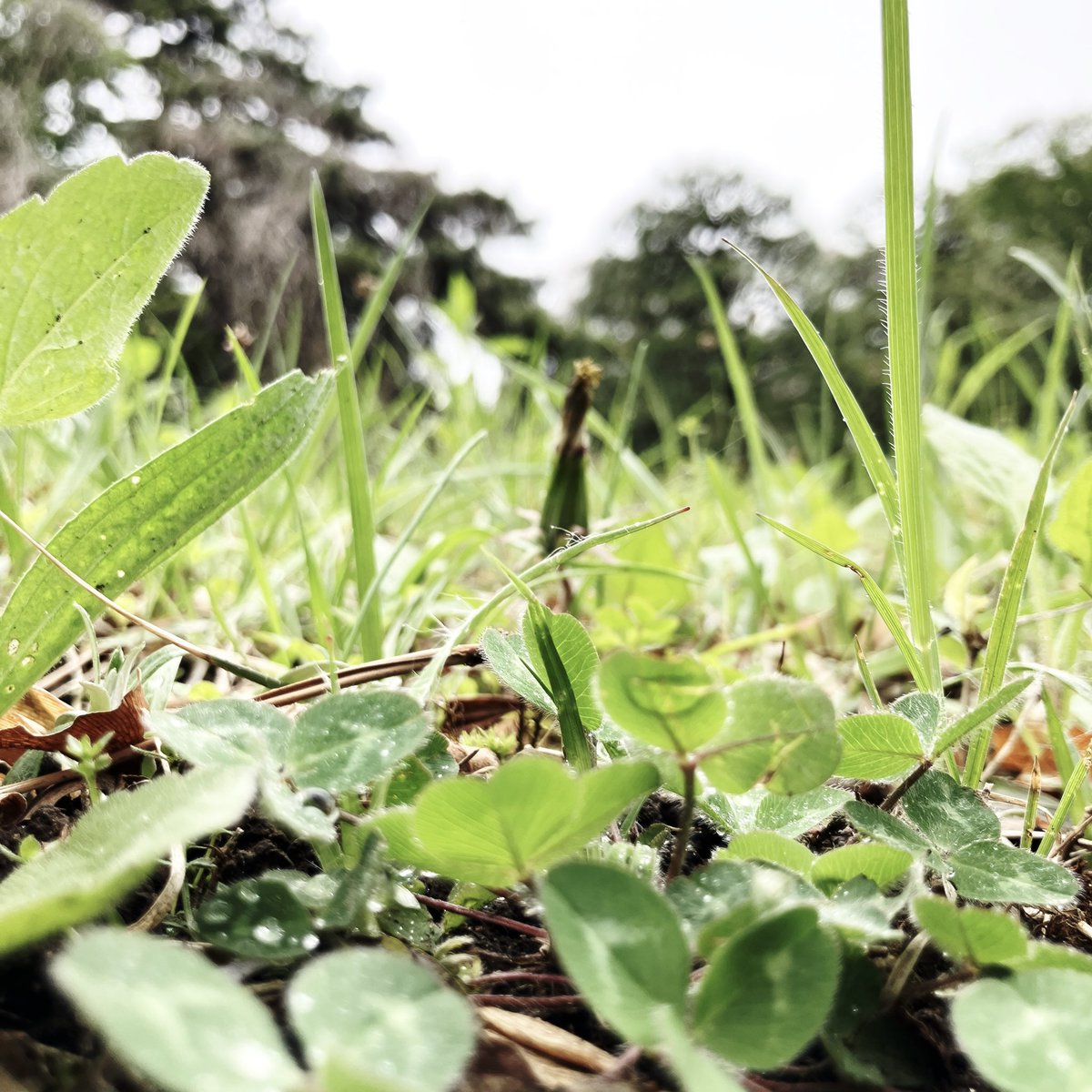 もにょ tweet media