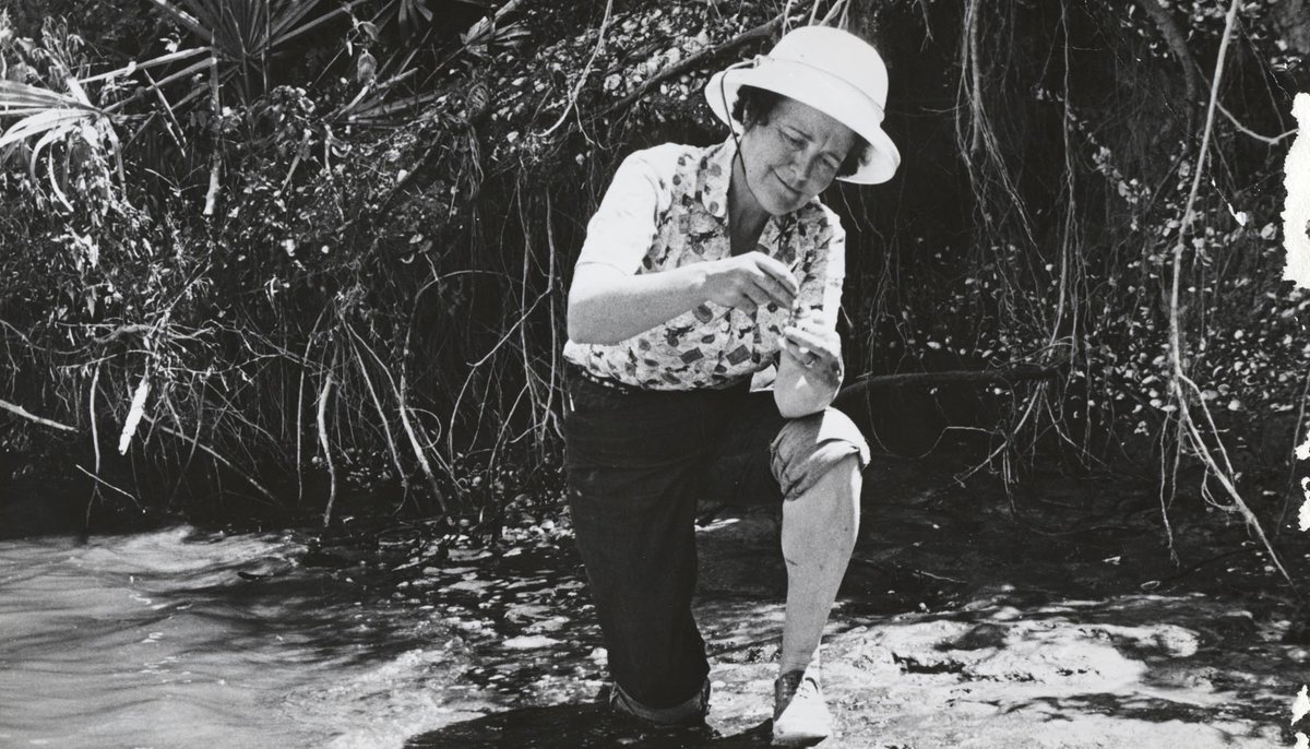 과학과 사람들 tweet media