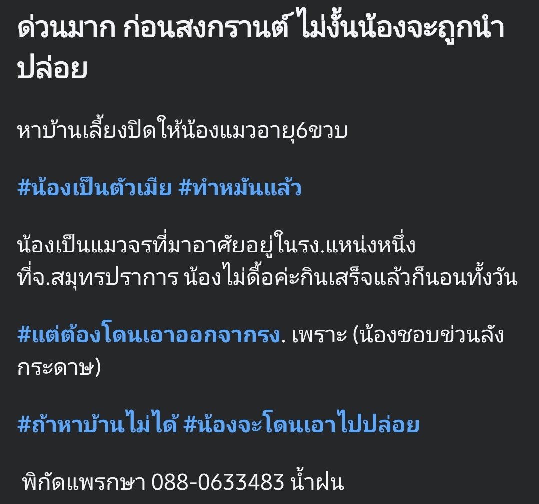 เลี้ยงแมว1ตัวตอนนี้มีแมว5ตัว tweet media