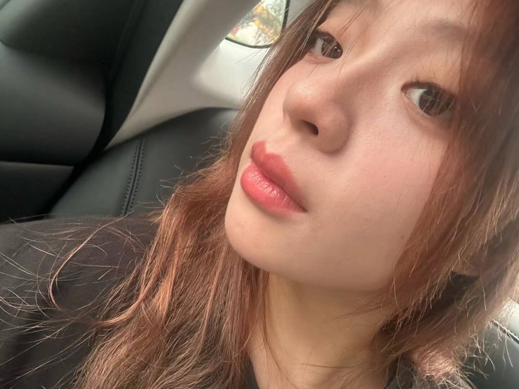 Li Xiang tweet media