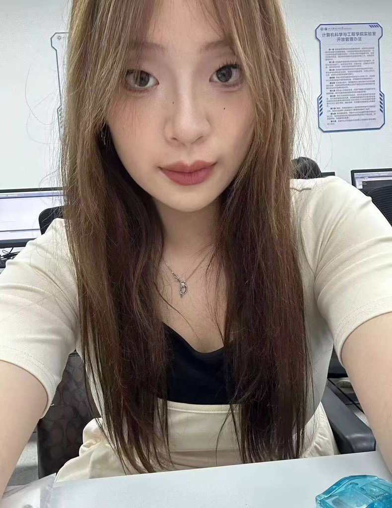 Li Xiang tweet media