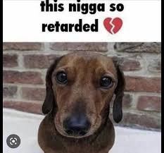 TheRealWetWizard tweet media