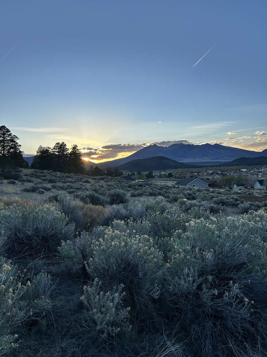 Mike Russell tweet media