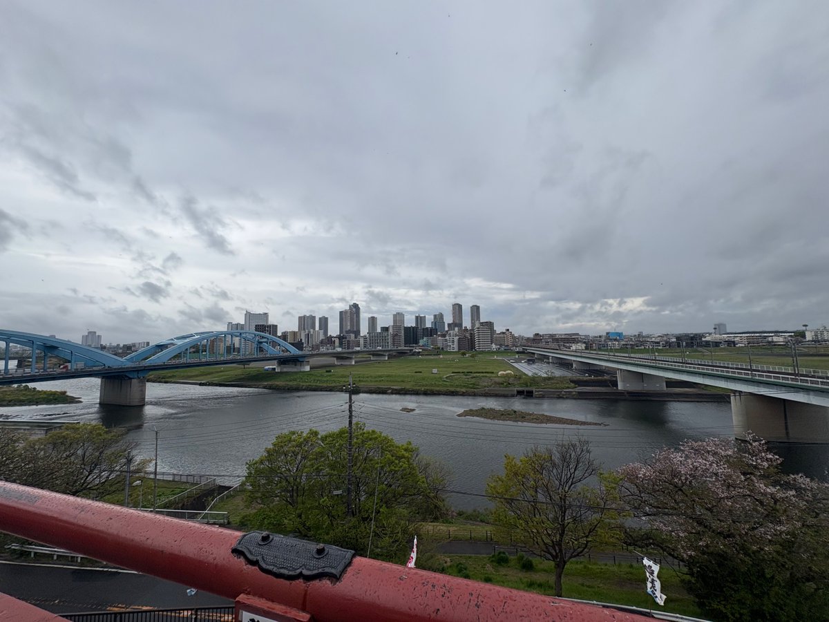 こげ茶な猫 tweet media