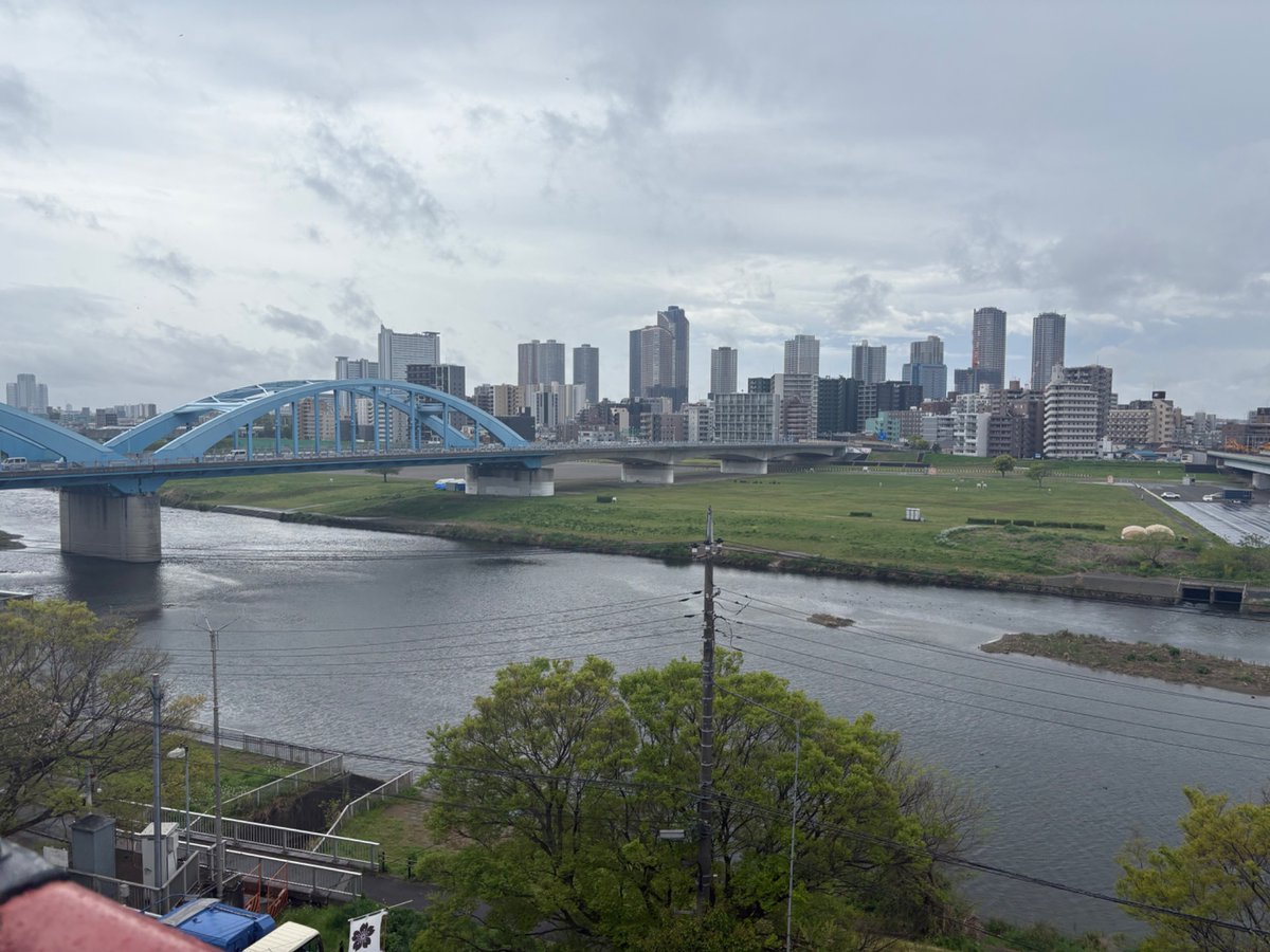 こげ茶な猫 tweet media