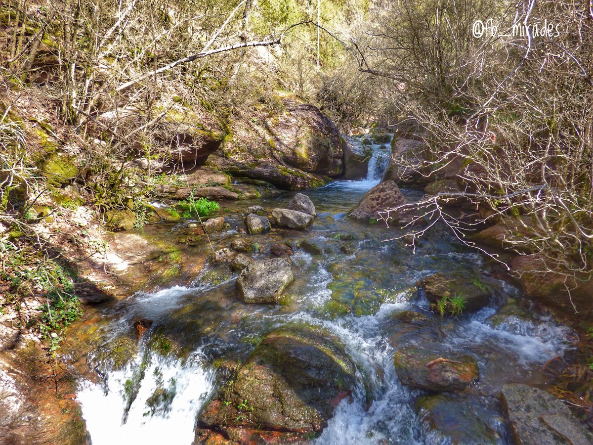 Francesc Brunés 💐🌻🪻 tweet media