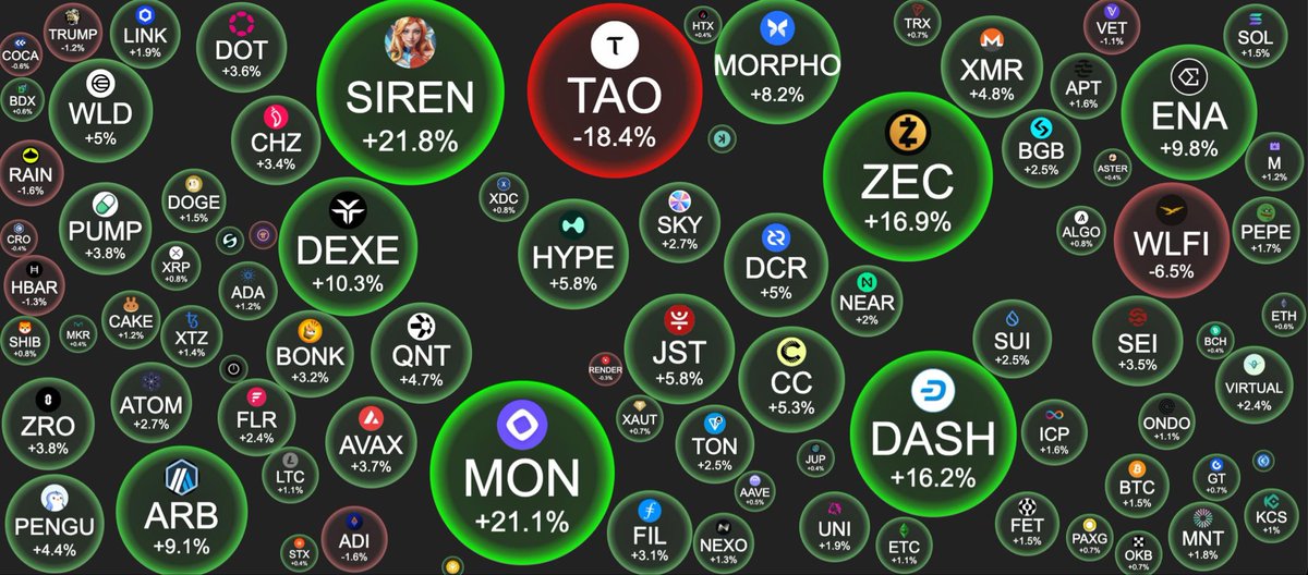 Alex Lector tweet media