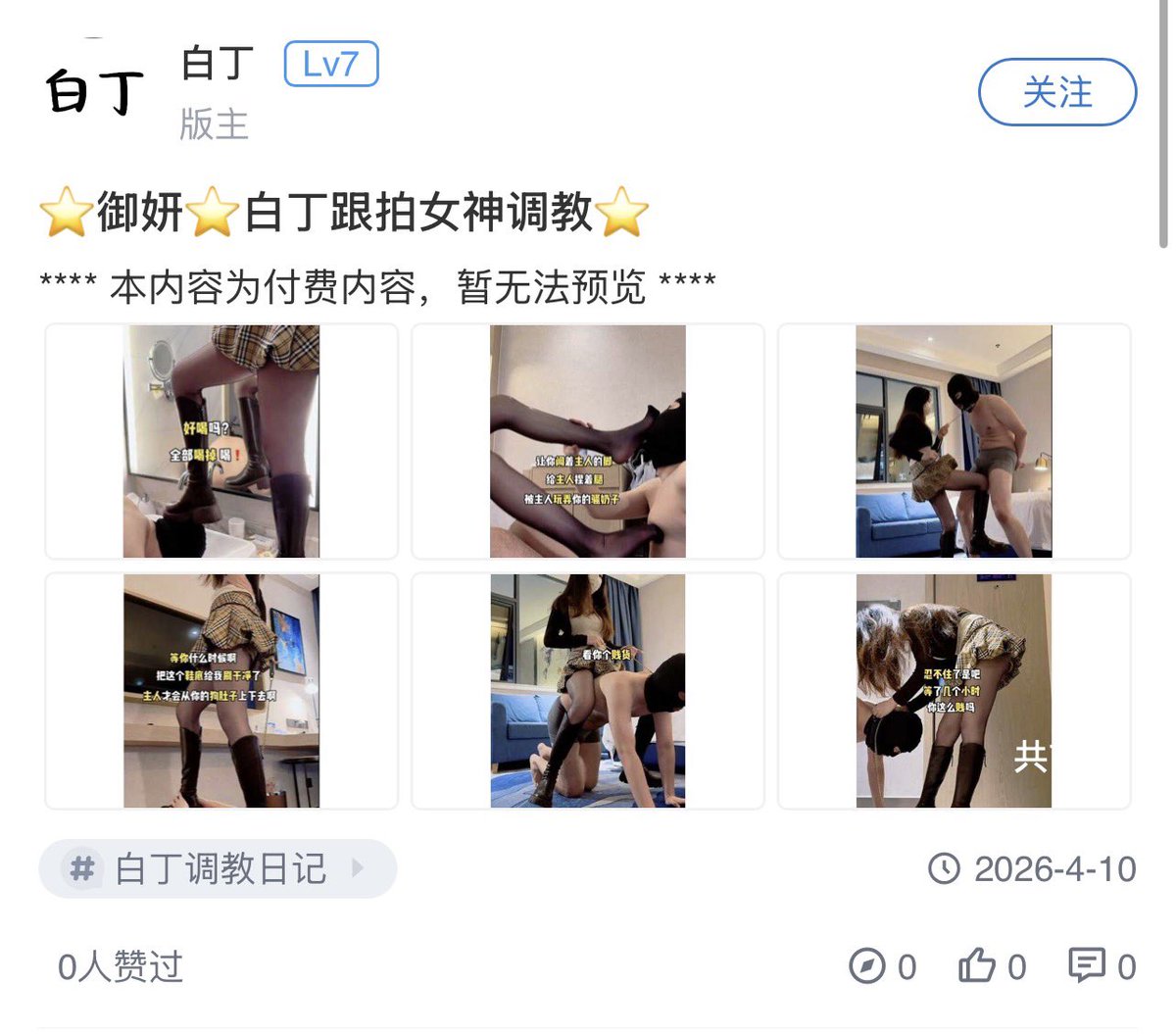 白丁 tweet media