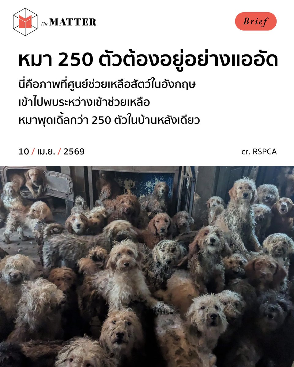 The MATTER tweet media