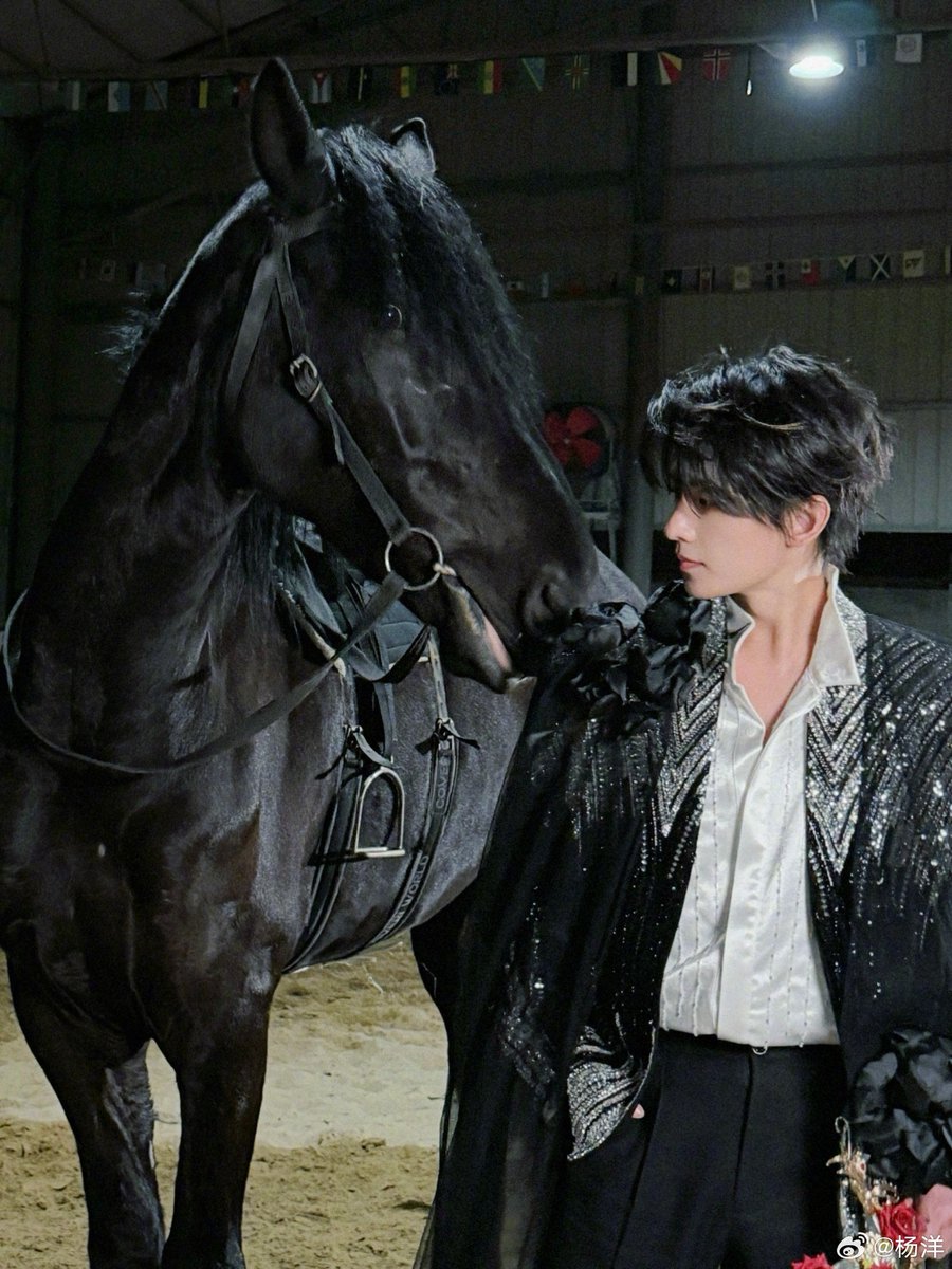 FullTimeBusy 🐏 杨洋ทาสแมวหลวงจั่นเจา🌰 tweet media