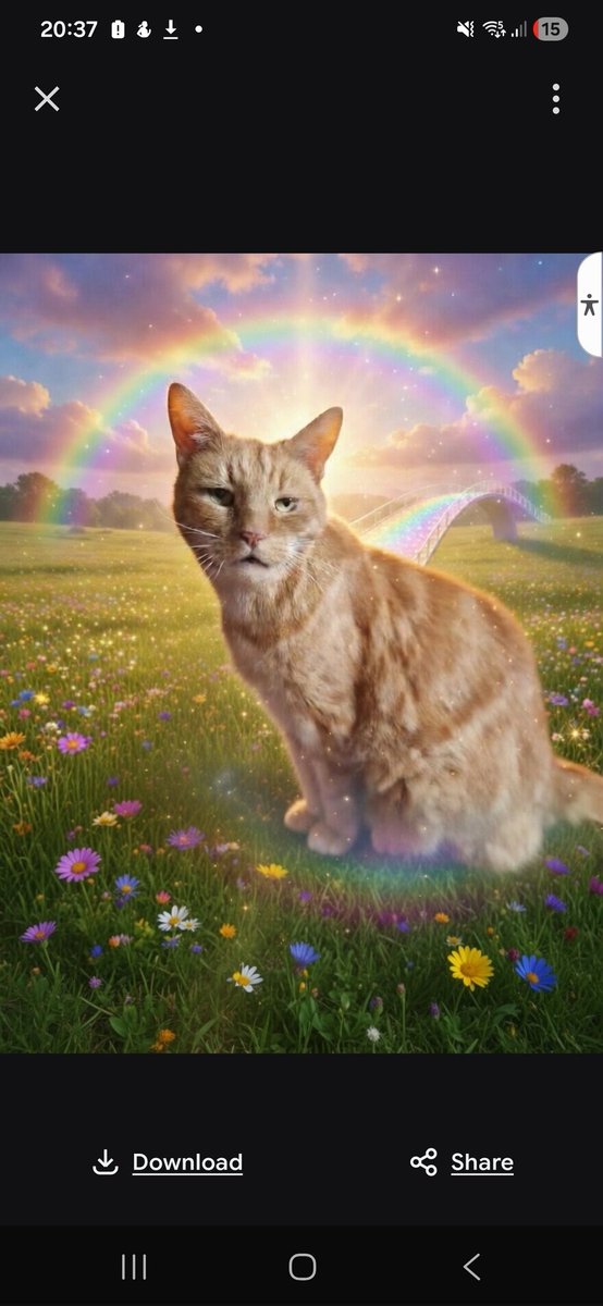 LD🏴󠁧󠁢󠁳󠁣󠁴󠁿🇺🇦🌻🇪🇺 tweet media