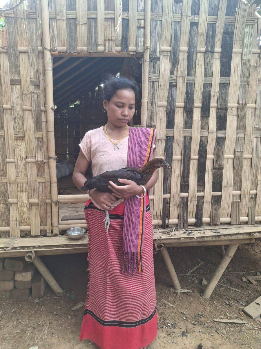 TripuraSRLM's tweet image. Project TRIPTI of #TRLM..
Nalbointi Reang, from Kumbharam Para, Tetuiya VC of Ganganagar RD Block, a member of Khasithai SHG is a single mother of three, living with her mother-in-law and working wherever she can — from Jhum fields to road construction just to support her family.