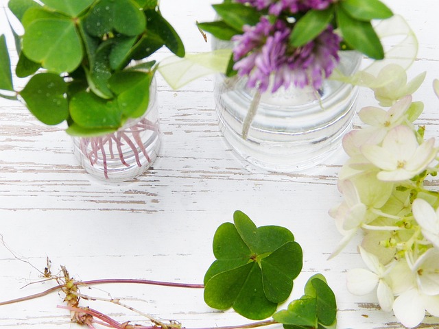 Frank Boolman tweet media