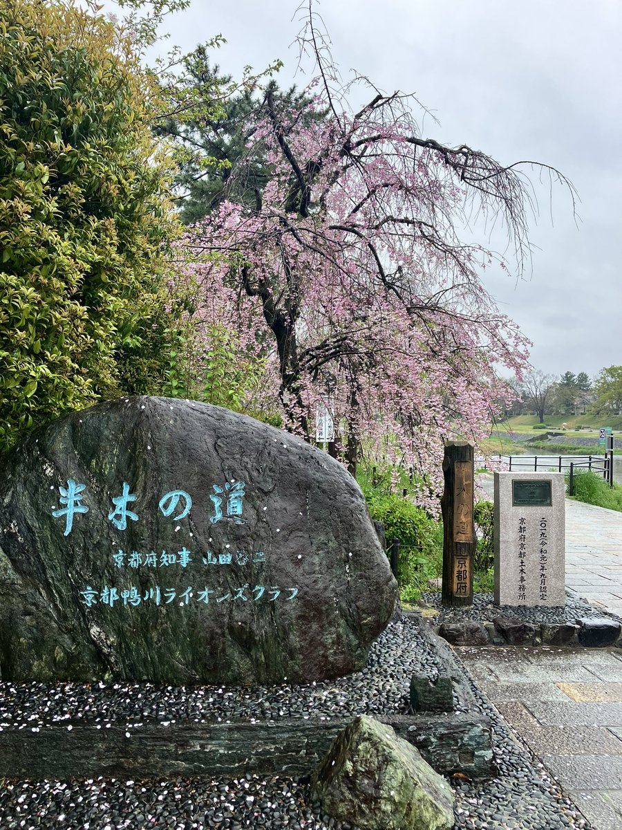 なかっちょ@京都 叡電修学院 tweet media