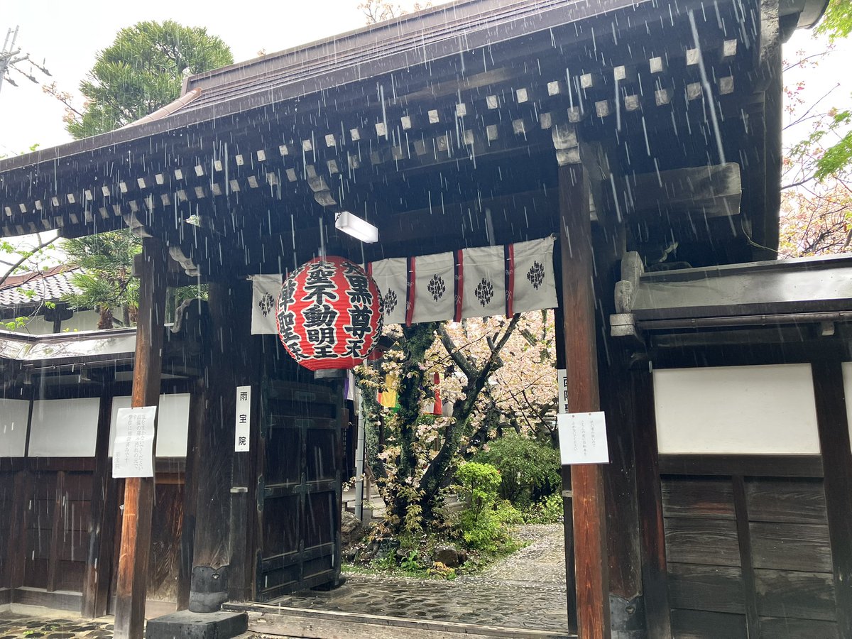なかっちょ@京都 叡電修学院 tweet media
