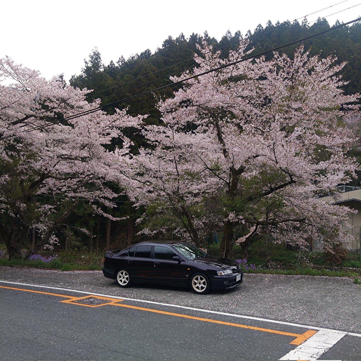 かとやん tweet media