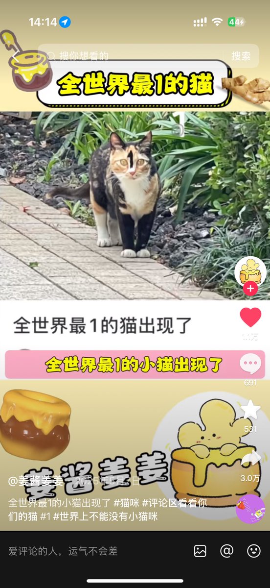 Pick👊顶尖（新号） tweet media