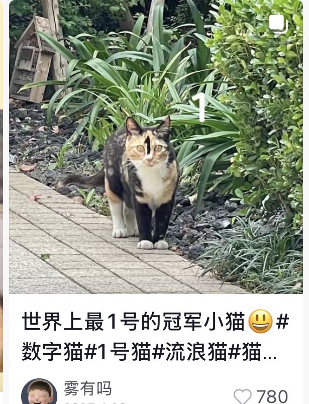 Pick👊顶尖（新号） tweet media