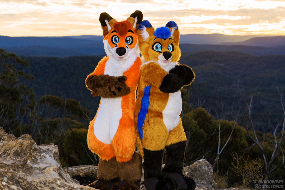 Colto Fox tweet media