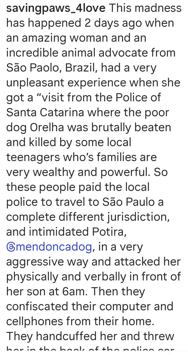 Lola 🧠🎯 tweet media