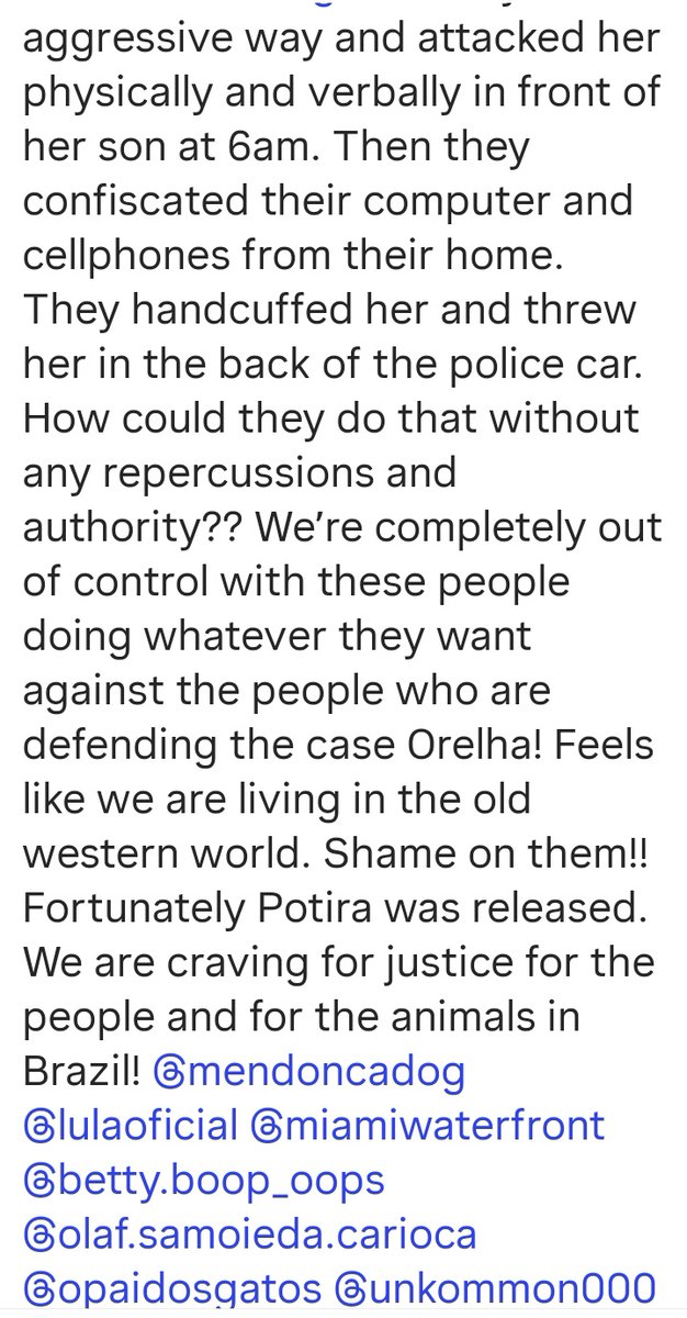 Lola 🧠🎯 tweet media