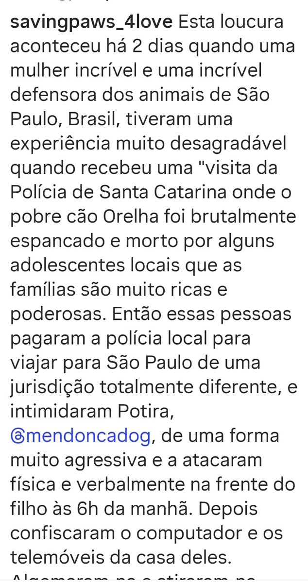 Lola 🧠🎯 tweet media