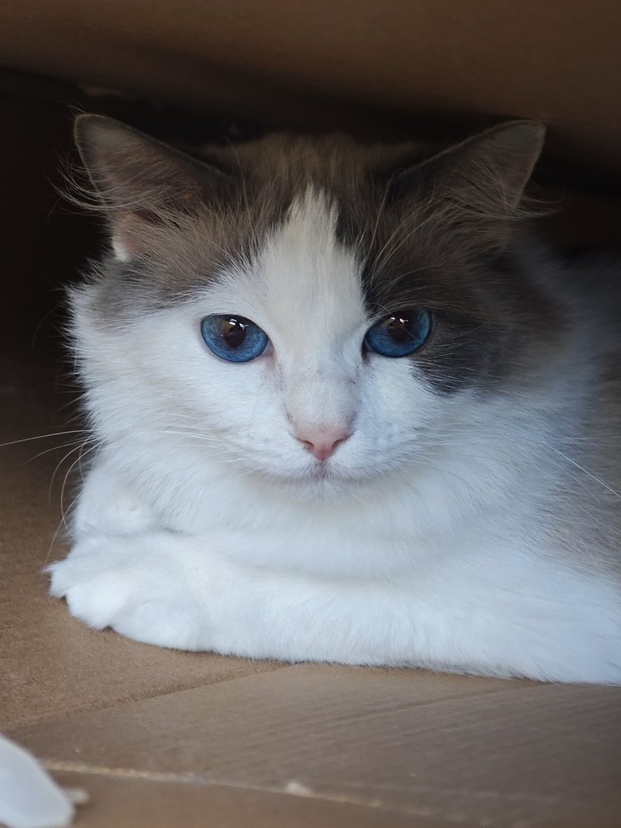 她真的好漂亮！！！！