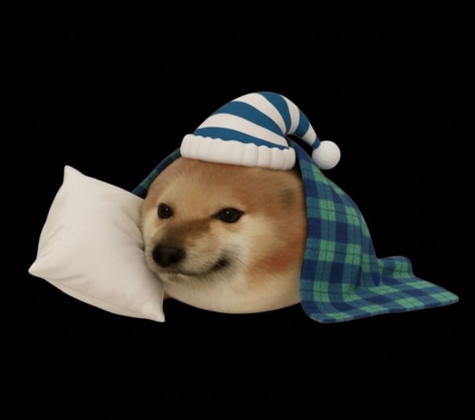 𝖒𝖎𝖗𝖆𝖌𝖊 tweet media