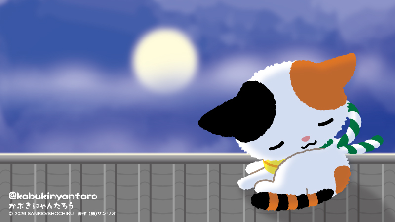 かぶきにゃんたろう【公式】 tweet media