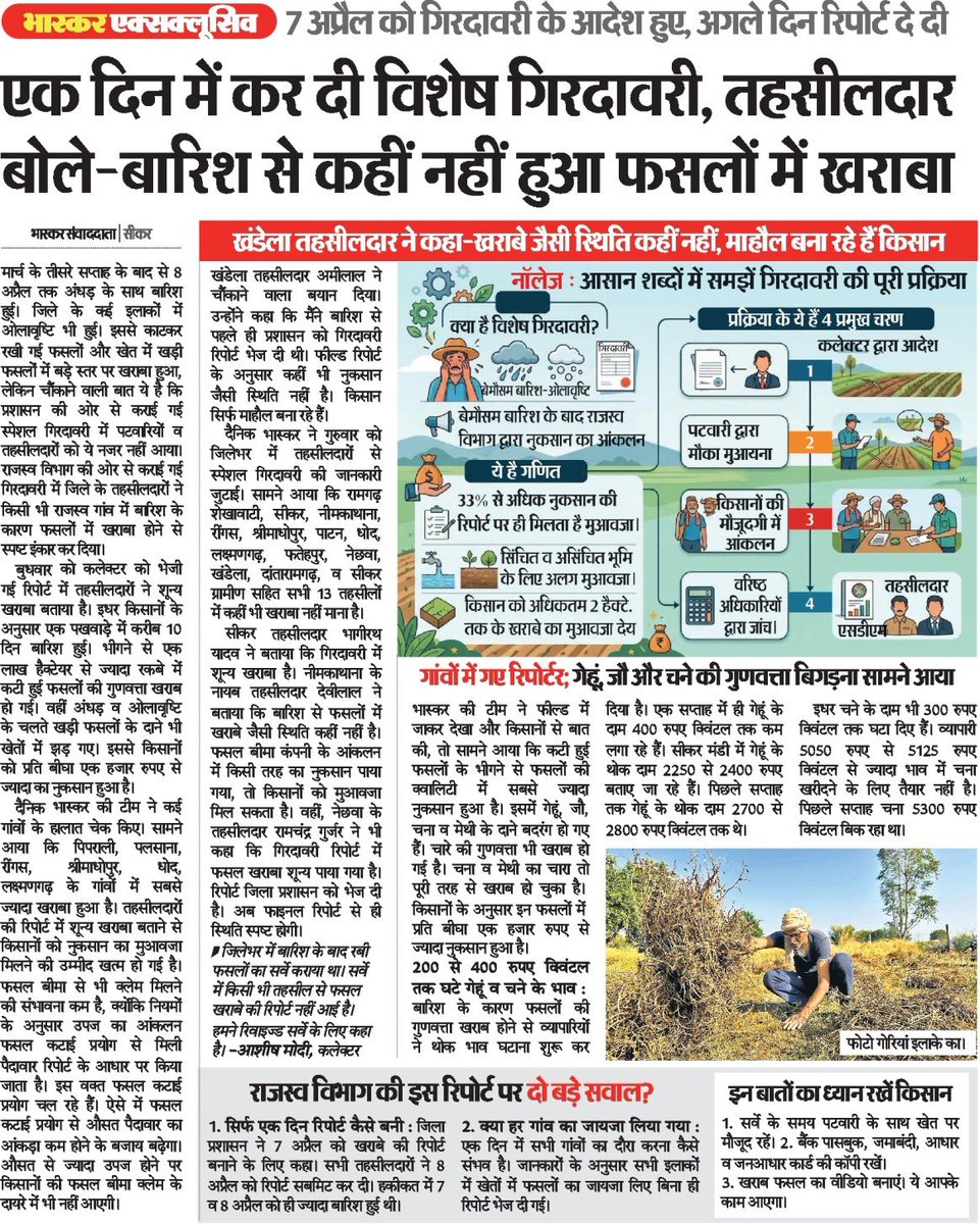 kbijendra's tweet photo. तहसीलदारों को दृष्टि दोष हो गया है क्योंकि उन्हें कहीं भी फसल खराबा नहीं दिखा। और उनमें संभवतया शक्तिमान जैसी सुपरपावर है क्योंकि उन्होंने सिर्फ एक दिन में पूरे जिले में स्पेशल गिरदावरी कर डाली। @BhajanlalBjp @GovindDotasra @mukesh1275 @Rajsthanikaka @8PMnoCM https://t.co/NCVCmD8GfU