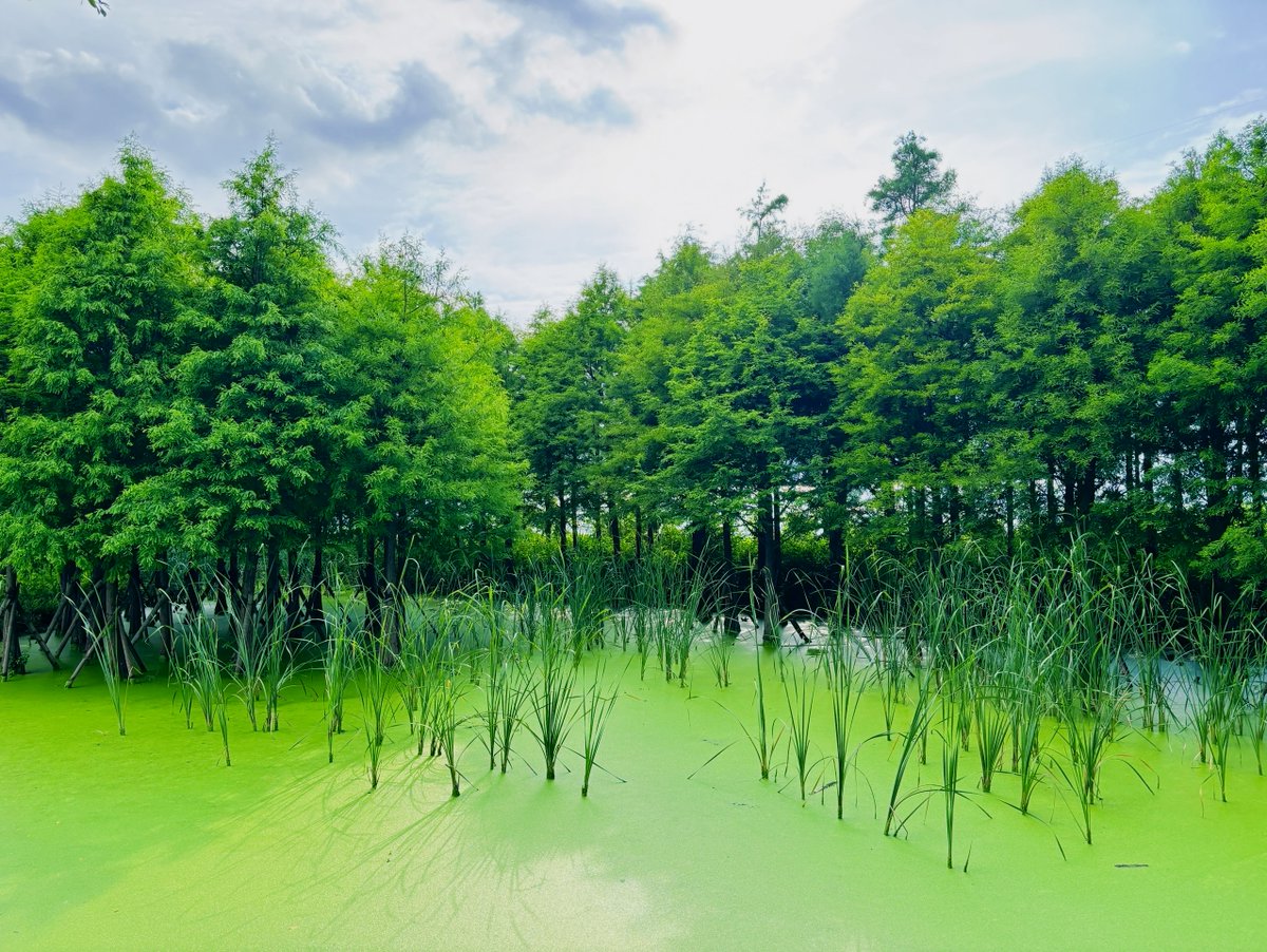 Sinmiloluwa joseph tweet media