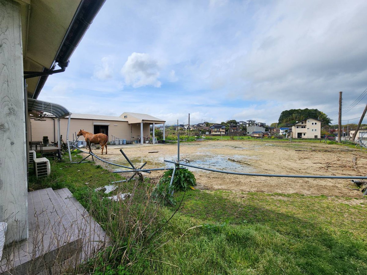 Weekend Live あんたっちゃぶる tweet media